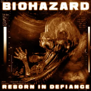 Reborn in defiance